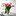 Schnittblumen Vase Fotolia-3842x3840